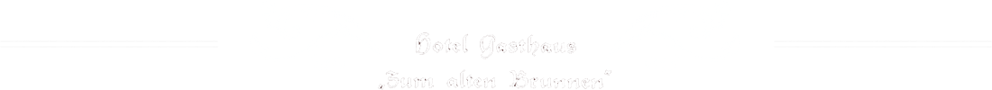 Hotel Gasthaus - Zum alten Brunnen